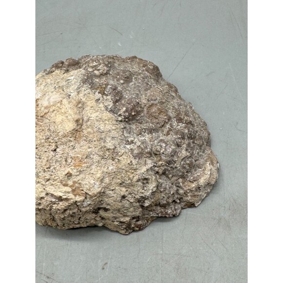 Natural Agate Geode Slice With Polished Center & Rough Edges 4x3x2" brown READ - Picture 6 of 11